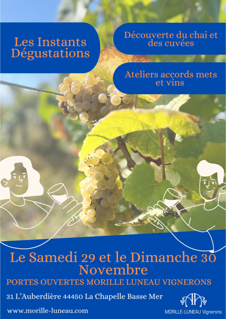 Vert Marron Dégustation Vin Affiche Audacieux